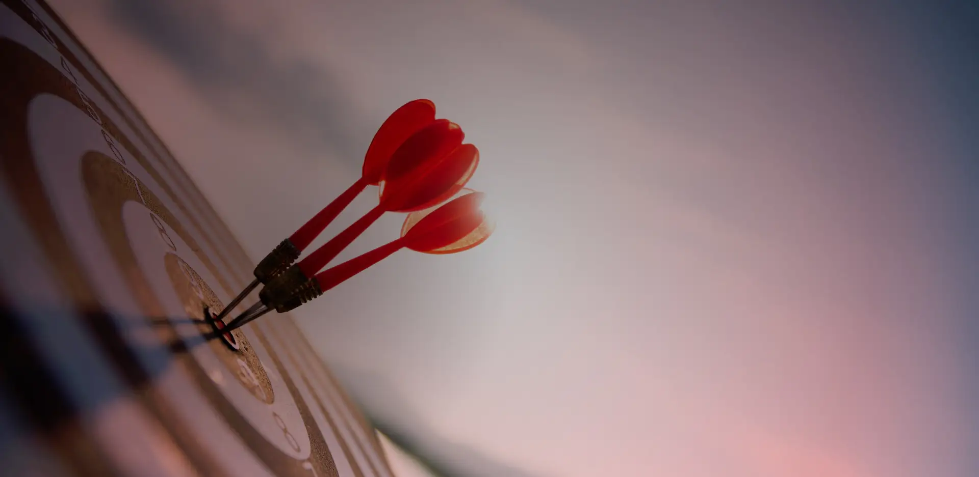 Expo Group, Bangladesh Cover